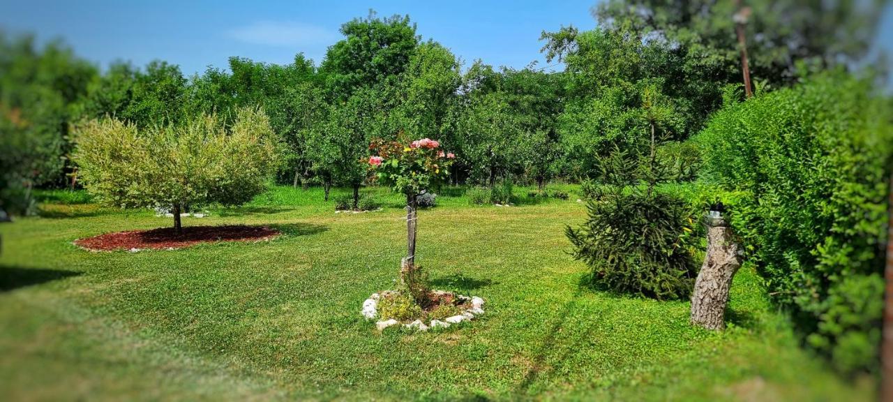 Gajica Konak-Orasac Arandjelovac Kültér fotó